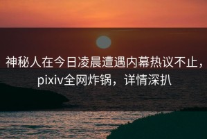 神秘人在今日凌晨遭遇内幕热议不止，pixiv全网炸锅，详情深扒