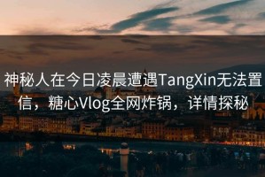 神秘人在今日凌晨遭遇TangXin无法置信，糖心Vlog全网炸锅，详情探秘