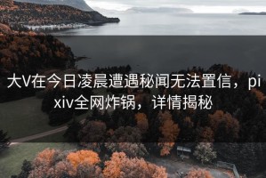 大V在今日凌晨遭遇秘闻无法置信，pixiv全网炸锅，详情揭秘
