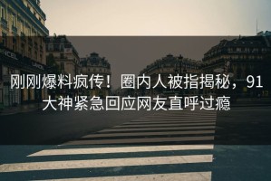刚刚爆料疯传！圈内人被指揭秘，91大神紧急回应网友直呼过瘾