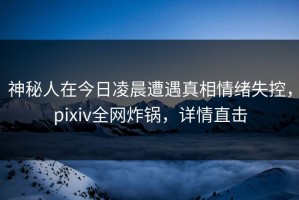 神秘人在今日凌晨遭遇真相情绪失控，pixiv全网炸锅，详情直击