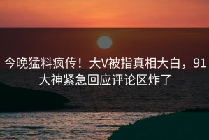 今晚猛料疯传！大V被指真相大白，91大神紧急回应评论区炸了