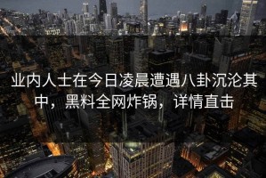 业内人士在今日凌晨遭遇八卦沉沦其中，黑料全网炸锅，详情直击