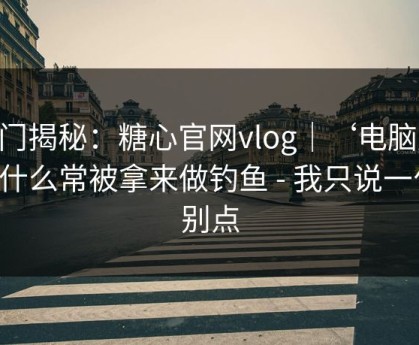 冷门揭秘：糖心官网vlog｜‘电脑版’为什么常被拿来做钓鱼 - 我只说一句：别点