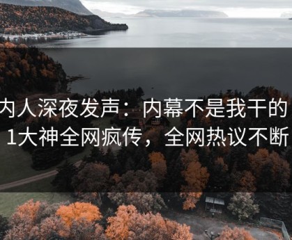 圈内人深夜发声：内幕不是我干的！91大神全网疯传，全网热议不断