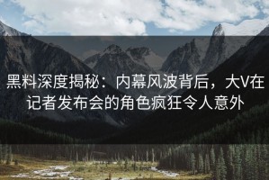 黑料深度揭秘：内幕风波背后，大V在记者发布会的角色疯狂令人意外