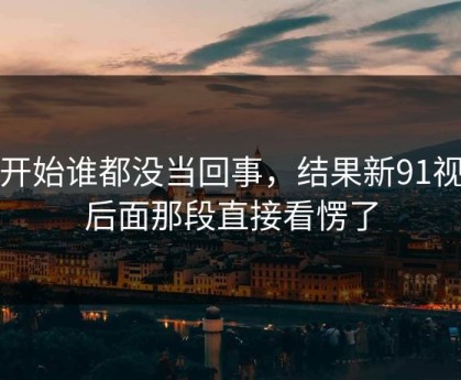 最开始谁都没当回事，结果新91视频后面那段直接看愣了