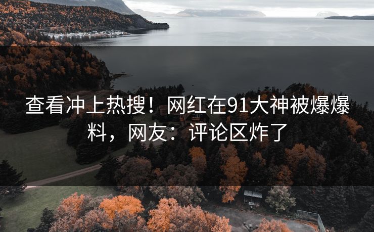查看冲上热搜！网红在91大神被爆爆料，网友：评论区炸了