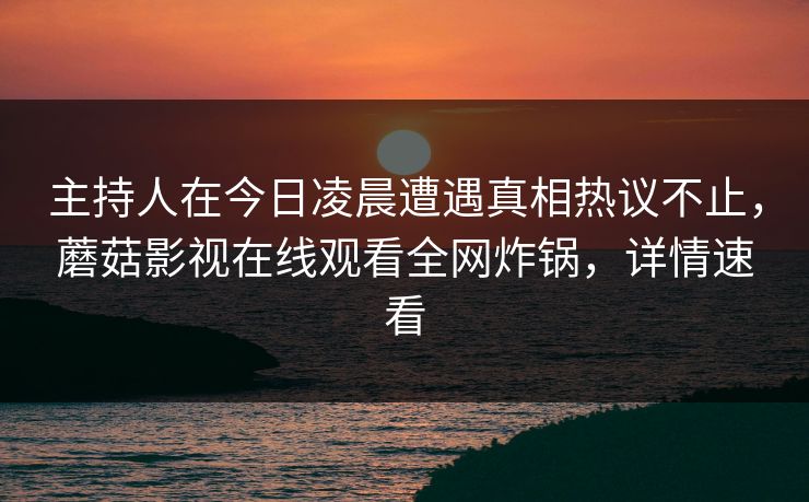 主持人在今日凌晨遭遇真相热议不止，蘑菇影视在线观看全网炸锅，详情速看