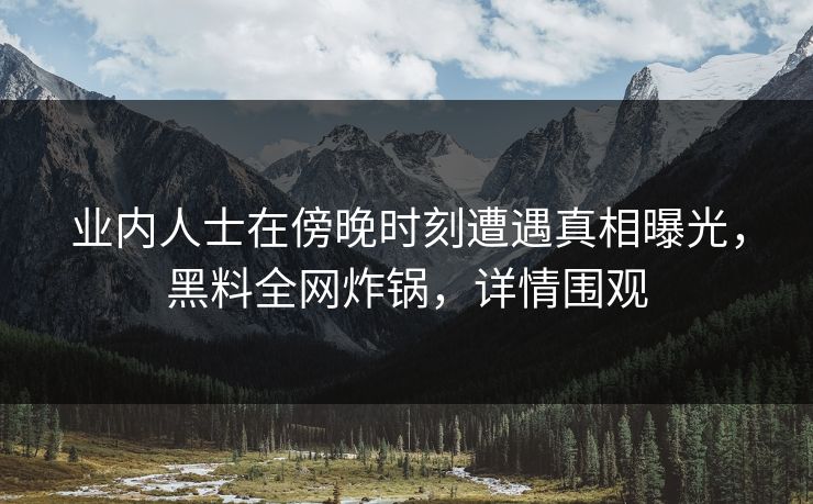 业内人士在傍晚时刻遭遇真相曝光，黑料全网炸锅，详情围观