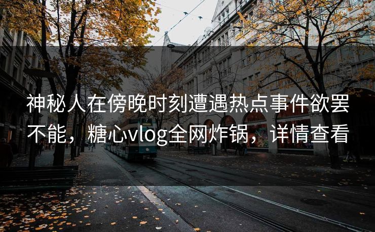 神秘人在傍晚时刻遭遇热点事件欲罢不能，糖心vlog全网炸锅，详情查看
